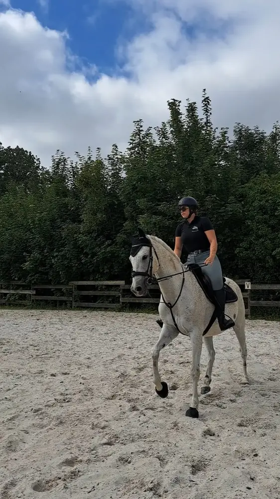 Travail monté sur le plat avec un cheval gris en carrière