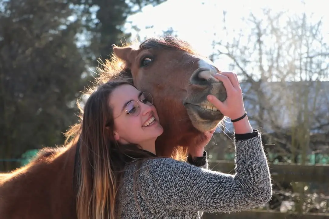 Moment de complicité avec un cheval au pré